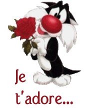 Je t'adore............